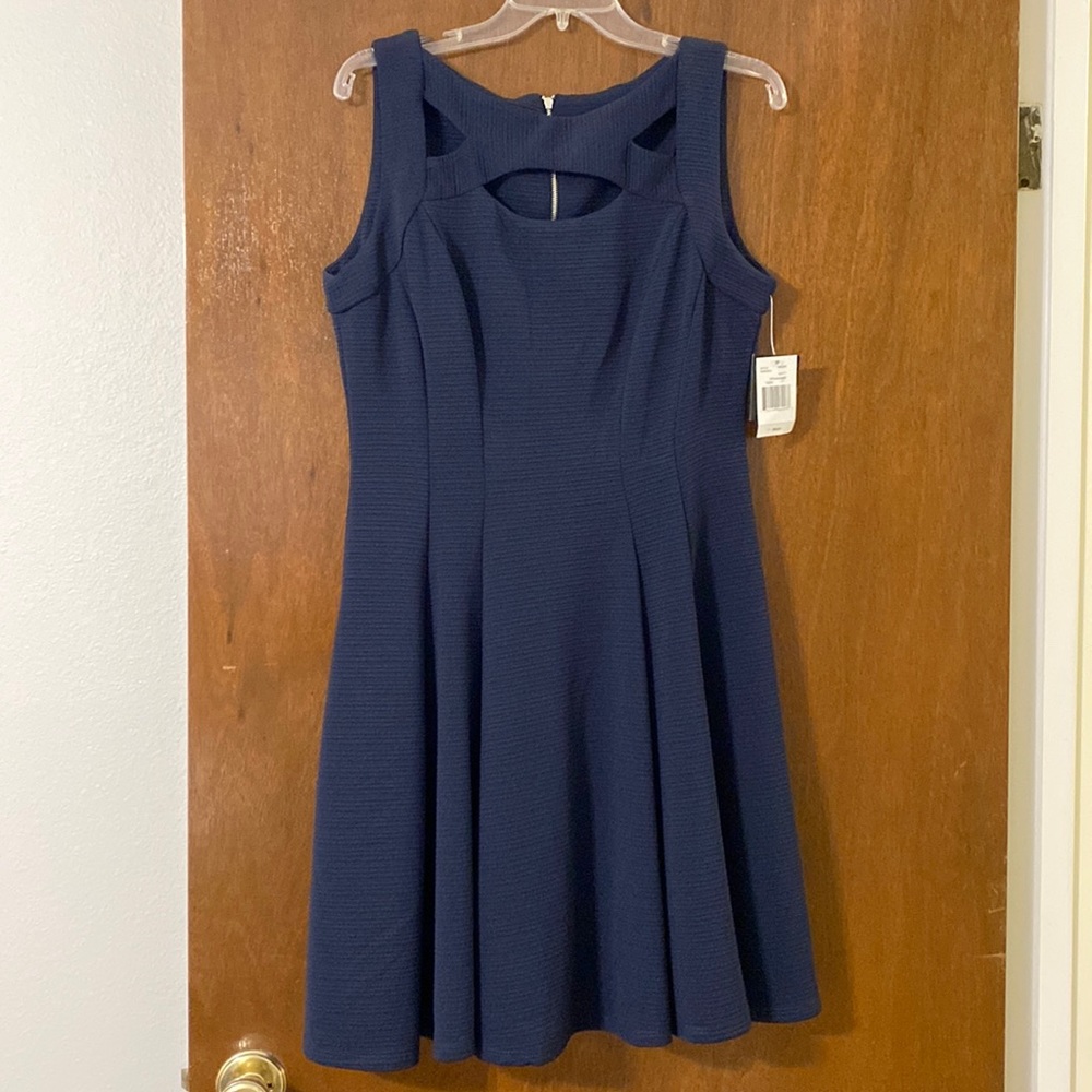 NWT Gabby Skye Dress